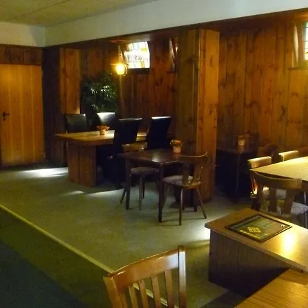 酒店 兹薇林酒店