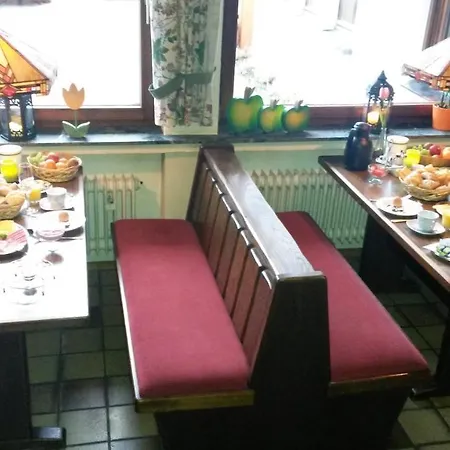 兹薇林酒店 酒店
